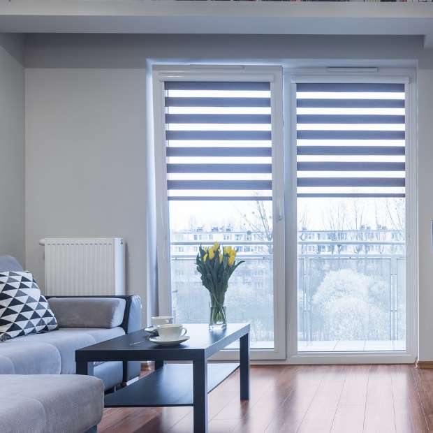 Transitional Zebra Shades