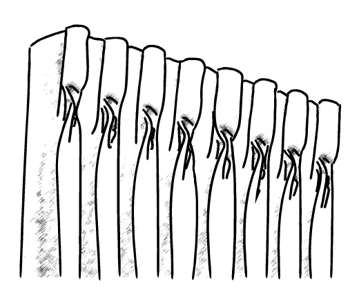 styles-goblet-pleat copy
