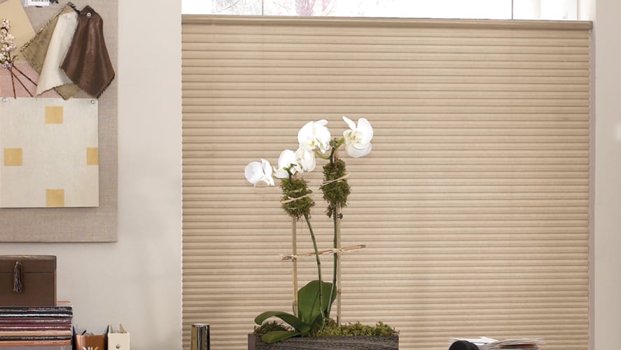 Cellular shades window treatments