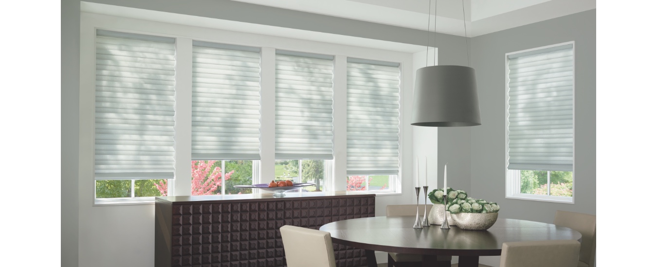 Dining room with shades
