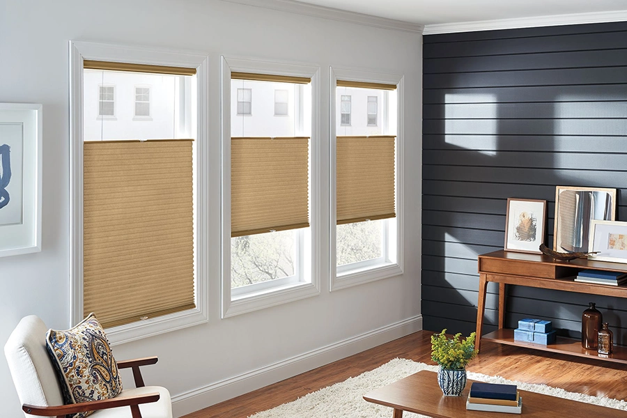 Tan top-down/bottom-up cellular shades on living room windows