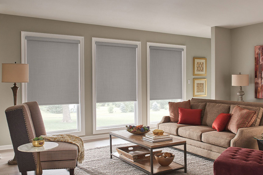 living room with roller shades