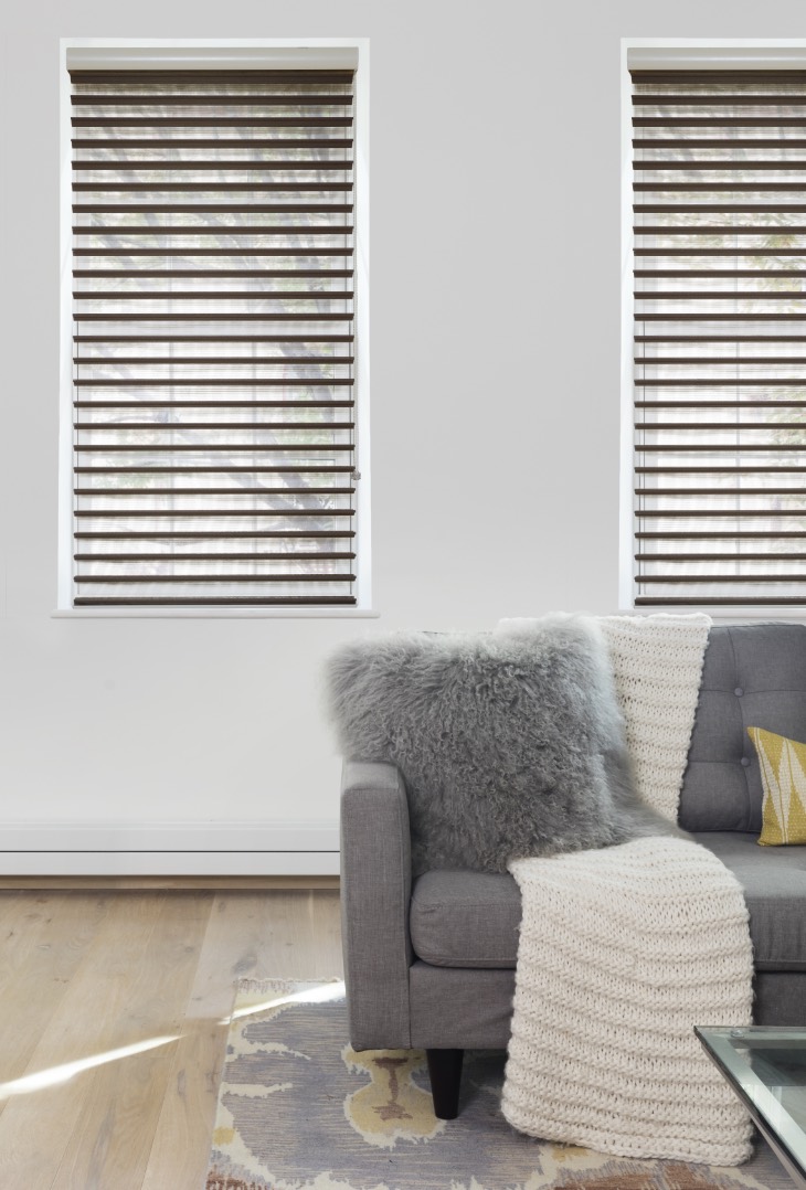 Sheer shades in a living room