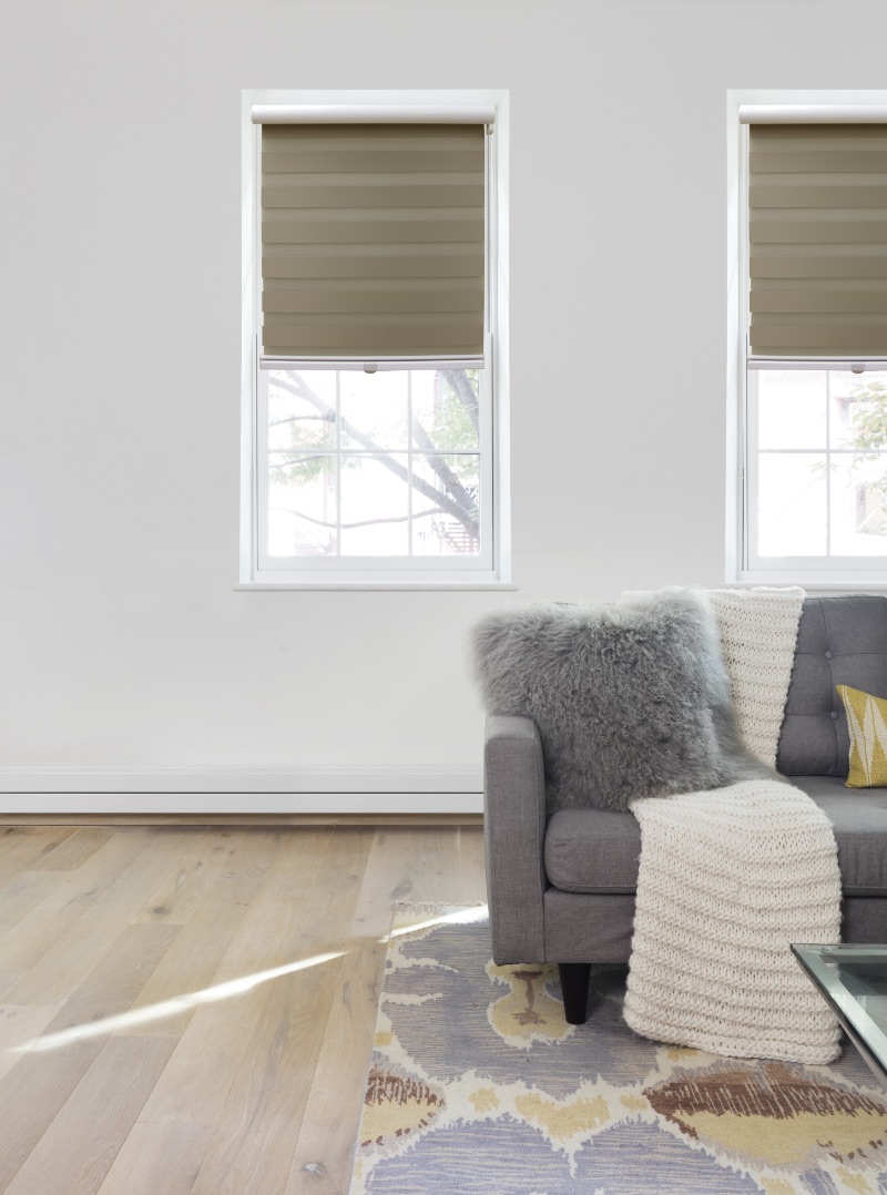 Transitional zebra shades in a living room