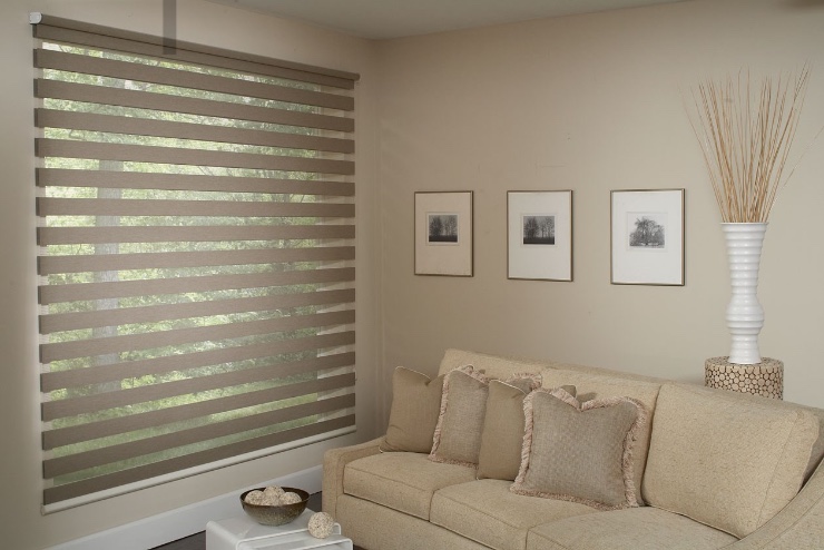 Transitional zebra shades in a living room