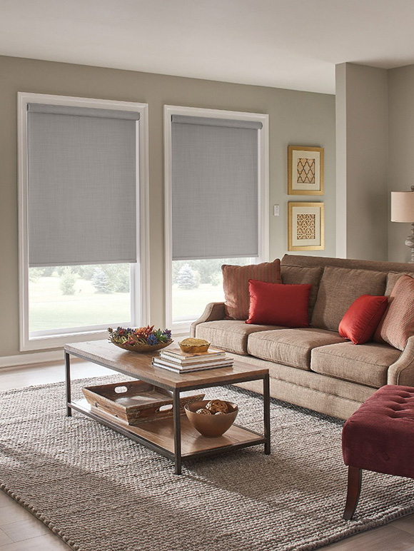 grayrollershadeslivingroom22